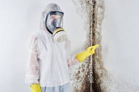 Mold Prevention & Removal